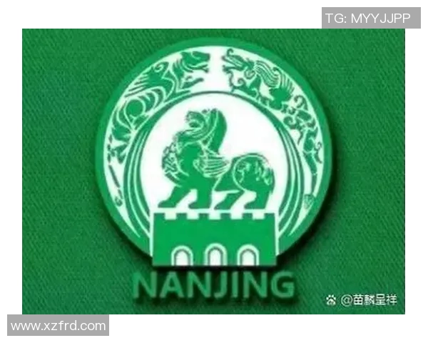 南京攀岩队成员个人能力全面对比与分析探讨