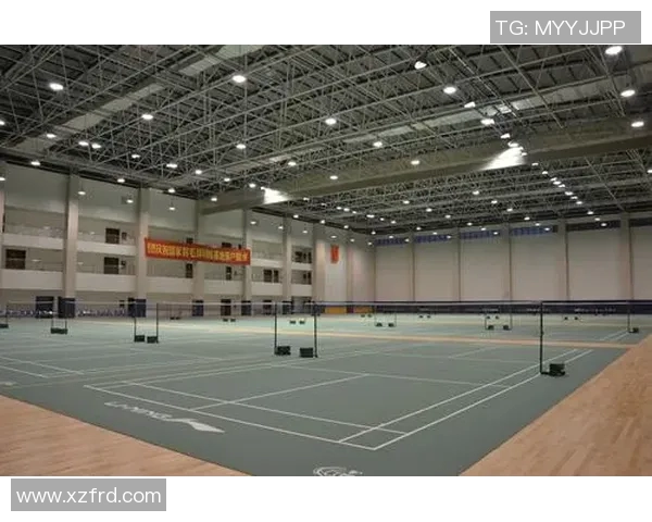 杭州羽毛球队状态分析与未来发展展望探讨