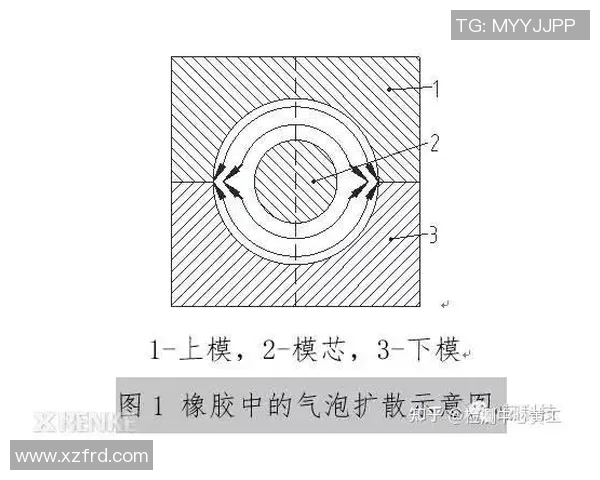 橡胶制品在现代工业中的应用与发展趋势探讨