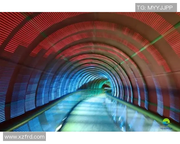 泳池争锋燃激情 激烈赛事点燃水上风采 展现运动员极限挑战